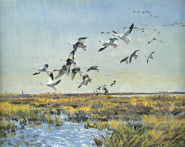 Hugh Monahan (Irish, 1914-1970) Snow Geese in Flight 14 x 17 3/4in (35.5 x 45.2cm)