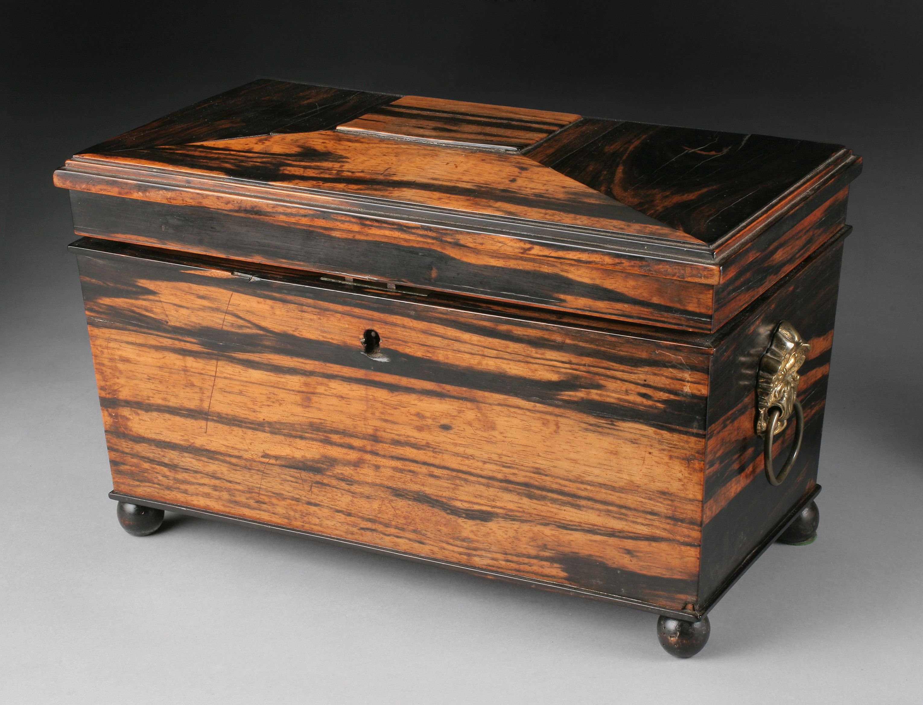 A Regency coromandel tea caddy
