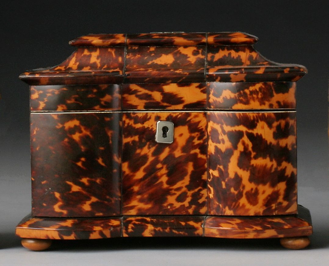 A William IV tortoiseshell tea caddy