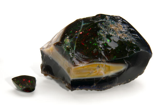 Bonhams Black Opalized Wood Rough And Cut