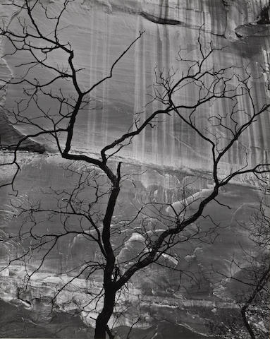 Brett Weston (American, 1911-1993); Glen Canyon;