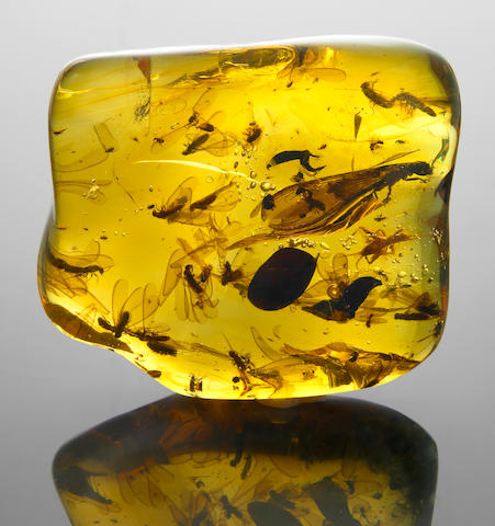 Large Amber Specimen with Insects including a Cricket
