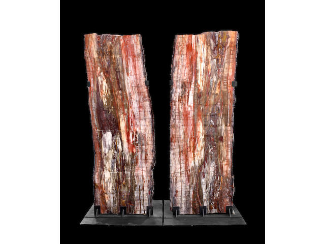 Magnificent Pair of Petrified Wood Logs
