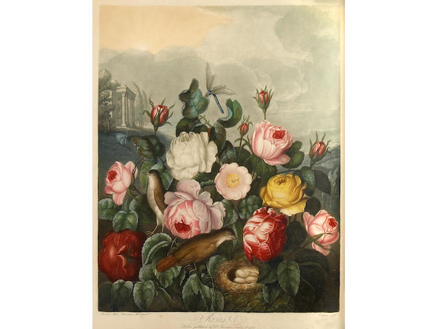 THORNTON, ROBERT JOHN. 1768-1837. New Illustration of the Sexual System of Carolus von Linnaeus Comprehending... the Temple of Flora, or Garden of Nature. London: for the Publisher, by T. Bensley, [1799]-1807.