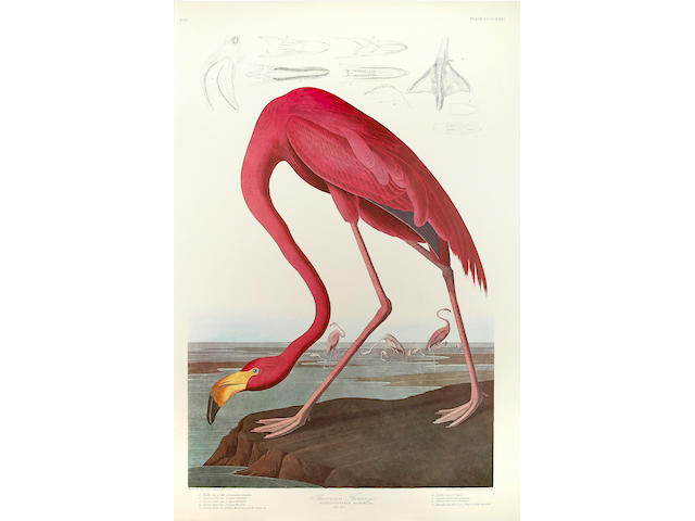 John James Audubon (American, 1785-1851) The Birds of America. New York & Amsterdam: Johnson Reprint Corporation & Theatrum orbis terrarum, 1971-72.