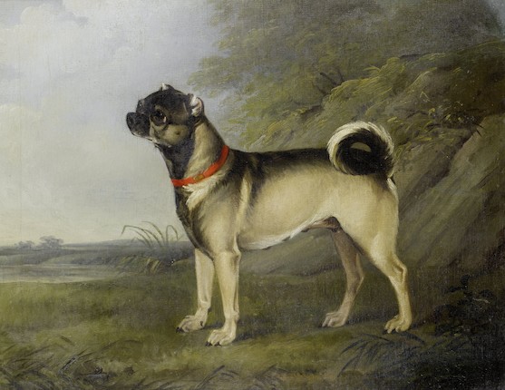 Henry Bernard Chalon (British, 1770-1849) A favourite Pug bitch; A Pug dog, a pair (2) image 2