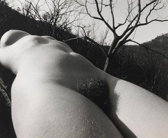 Lucien Clergue (French, born 1934); Select Images of Nudes; (2)