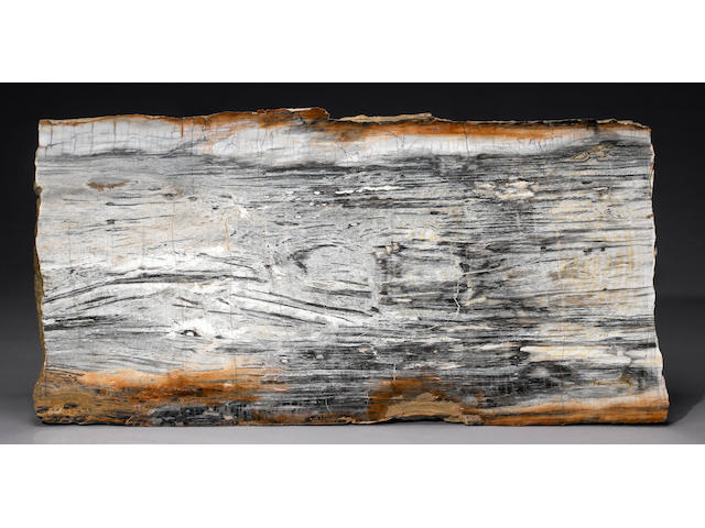 Rectangular Petrified Wood Slab