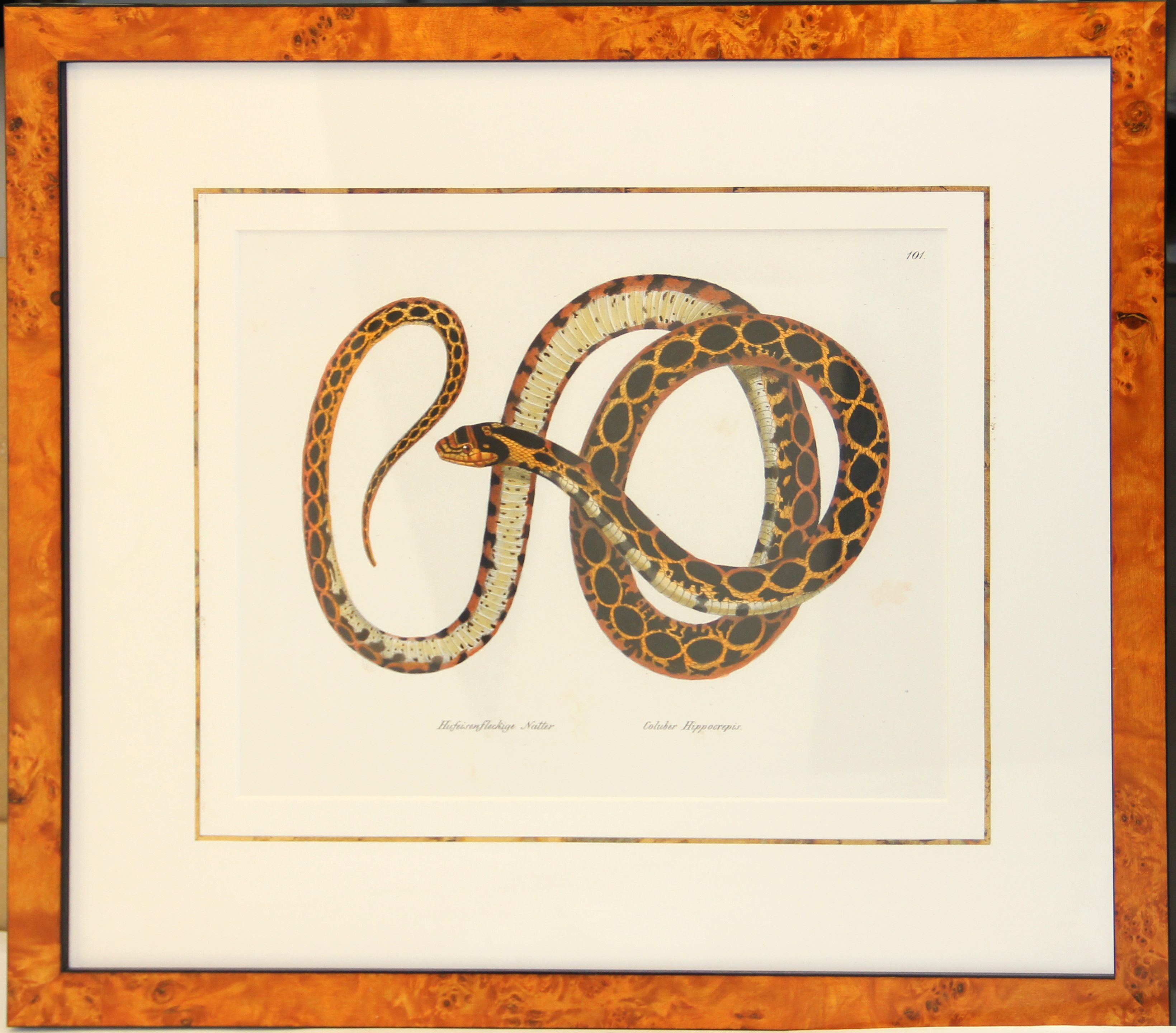 Three framed colored prints