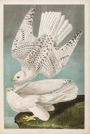 AUDUBON, JOHN JAMES. 1785-1851. The Birds of America, from Original Drawings by John James Audubon.... New York Roe Lockwood & Son, 1858-1860. image 3