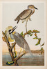 Thumbnail of AUDUBON, JOHN JAMES. 1785-1851. The Birds of America, from Original Drawings by John James Audubon.... New York Roe Lockwood & Son, 1858-1860. image 11