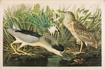 Thumbnail of AUDUBON, JOHN JAMES. 1785-1851. The Birds of America, from Original Drawings by John James Audubon.... New York Roe Lockwood & Son, 1858-1860. image 8