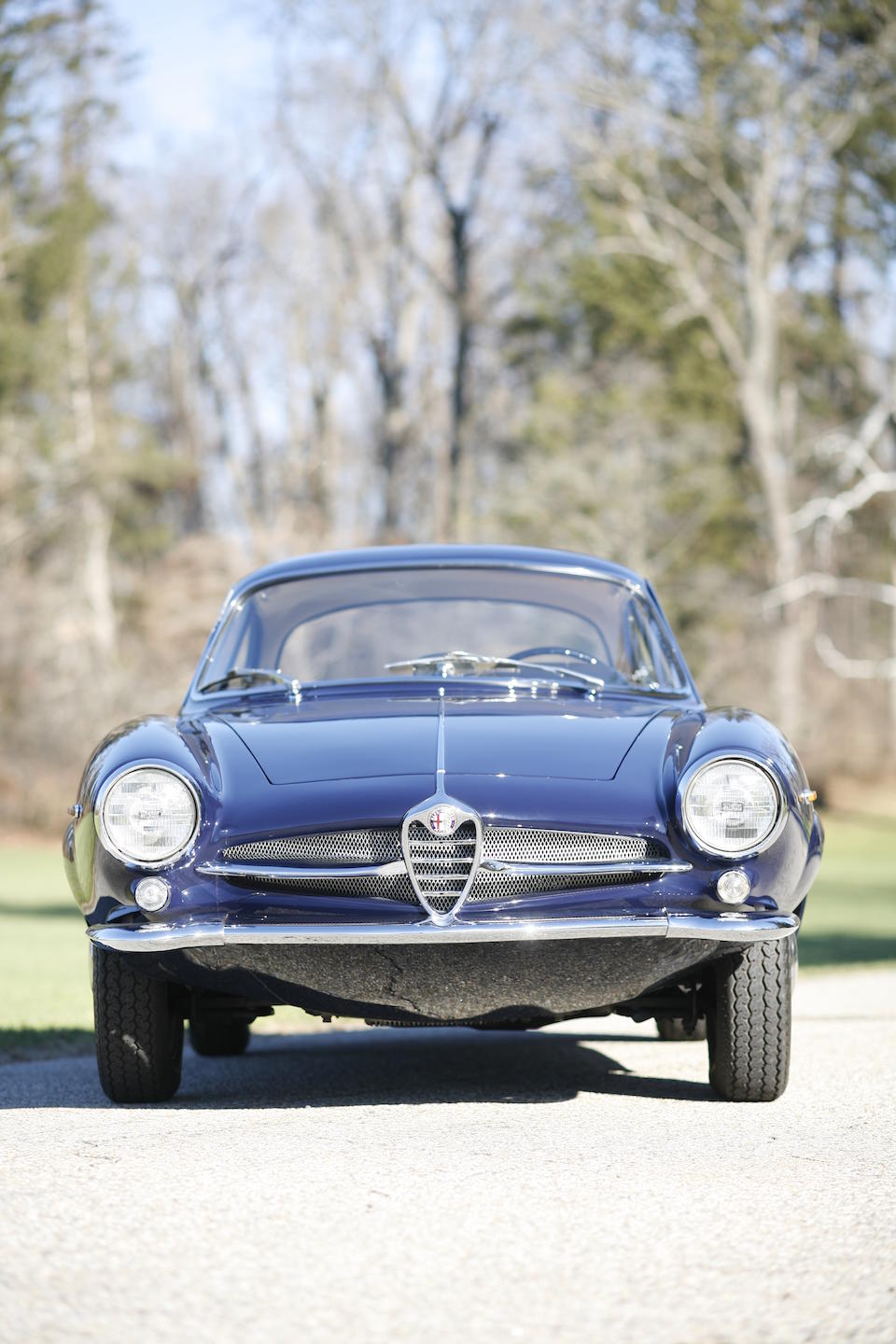 1965 Alfa Romeo Giulia Sprint Speciale  Chassis no. AR 380813 Engine no. AR00121*00914