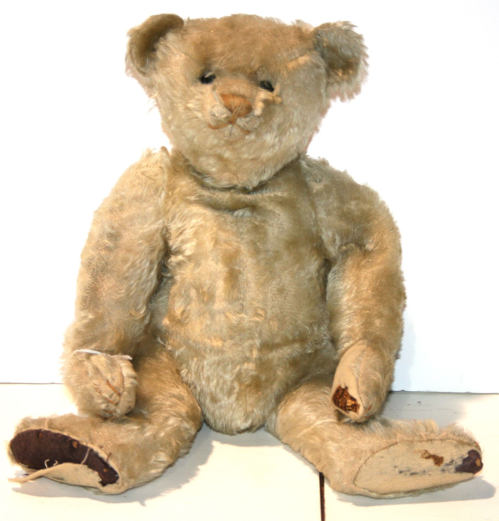 Early 20th Century Bear
