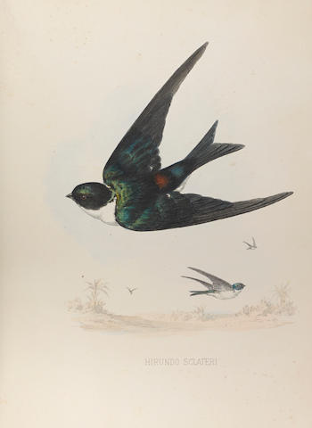 CORY, CHARLES BARNEY. 1857-1921.  The Birds of Haiti and San Domingo. Boston: Estes & Lauriat, 1885.