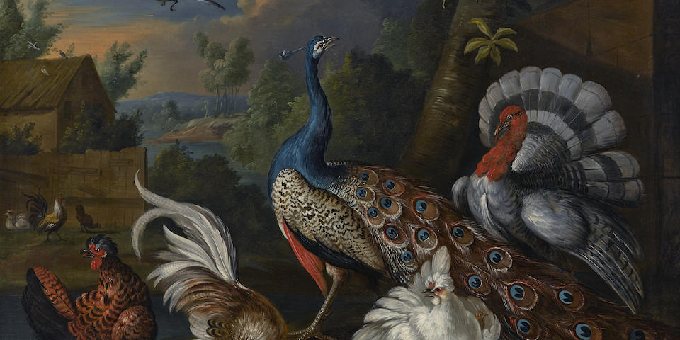 Marmaduke Cradock (Somerset 1660-1717 London) A peacock, a turkey, a rooster and chickens in a courtyard 35 1/2 x 46in (90 x 117cm)
