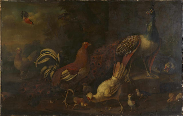 Circle of Adriaen van Oolen (Dutch, ?-1694) A peacock, a gamecock, three tufted hens with chicks, and other birds in a landscape 36 1/2 x 58 1/4in (92.7 x 148cm) unframed