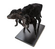 Thumbnail of Authentic Two-headed Calf A Taxidermic Specimen and A Complete Skeleton Mount image 3