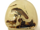 Thumbnail of A shadow chalcedony 'hawk' snuff bottle 1780-1850 image 6