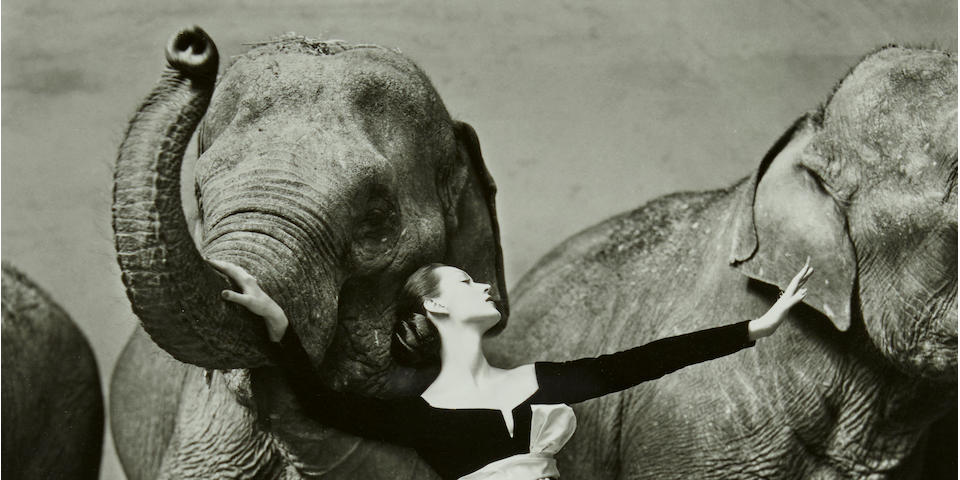 Richard Avedon (1923-2004); Dovima with Elephants, Evening Dress by Dior, Cirque d'Hiver, Paris, August;
