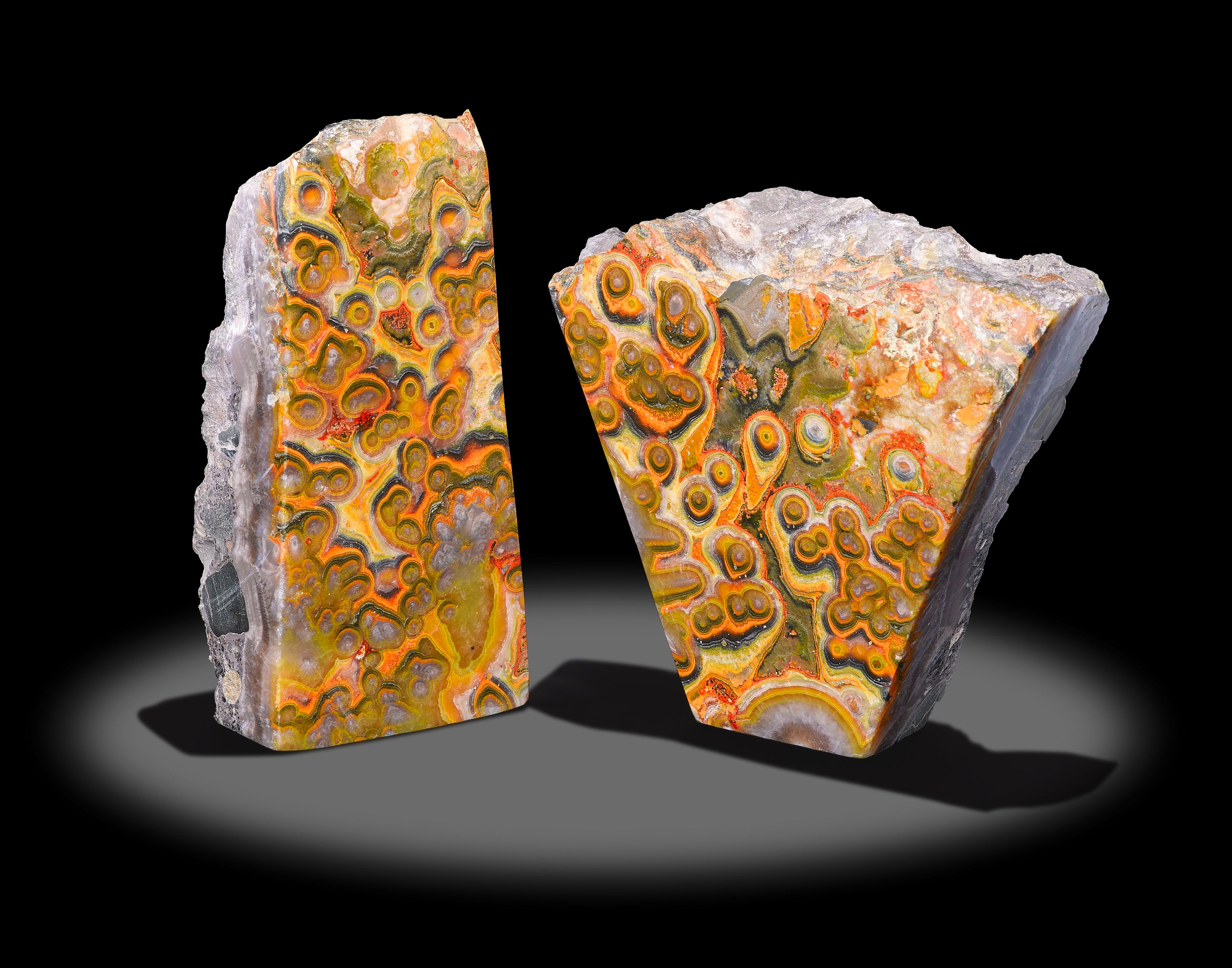 Two Bumblebee Jasper Specimens
