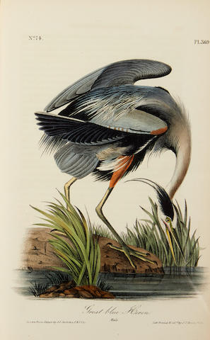 AUDUBON, JOHN JAMES. 1785-1851. The Birds of America, from Drawings Made in the United States and Their Territories.  New York & Philadelphia: J.J. Audubon & J.B. Chevalier, 1840-1844.