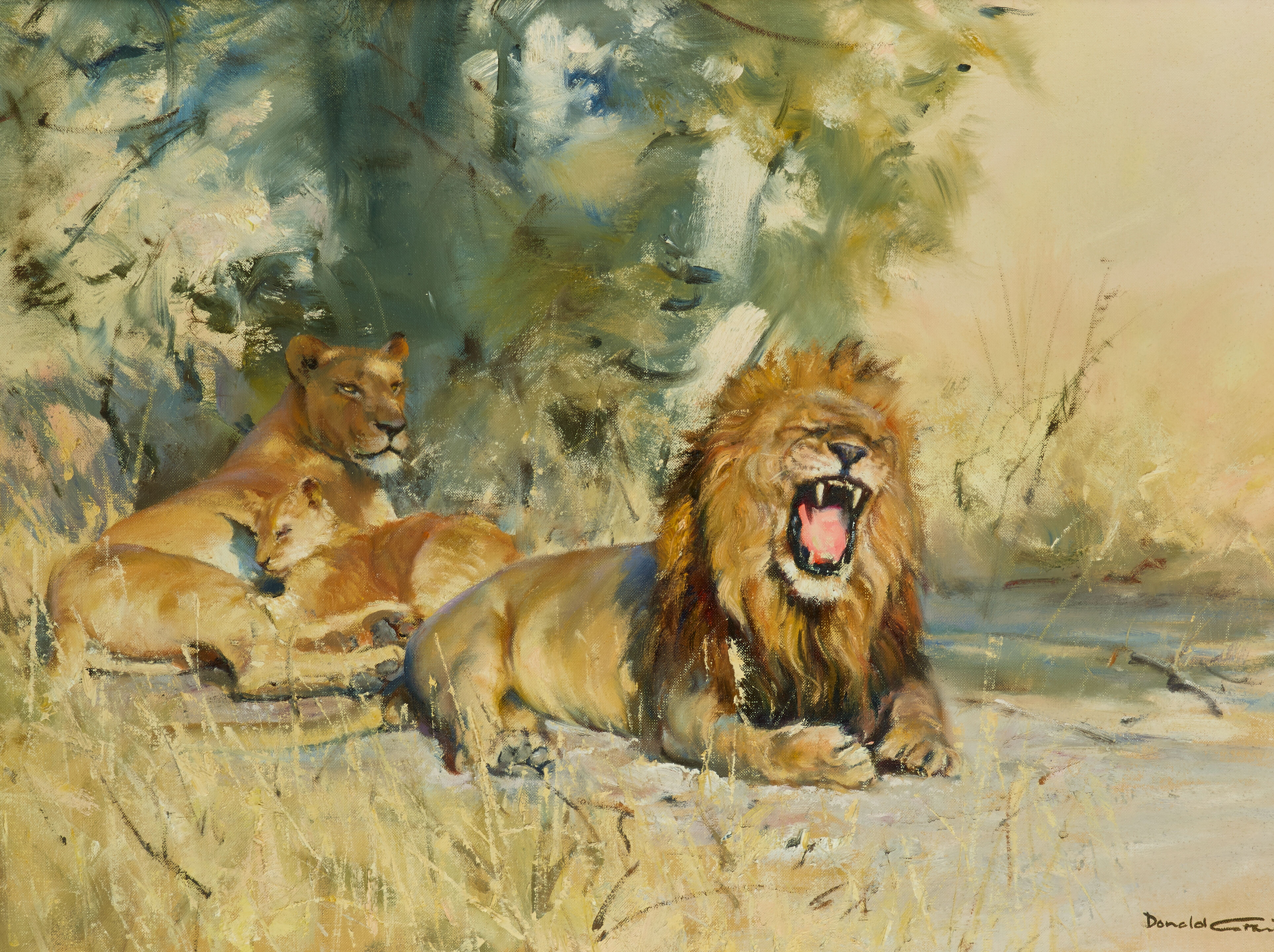 Картины львов фото Картины львов фото