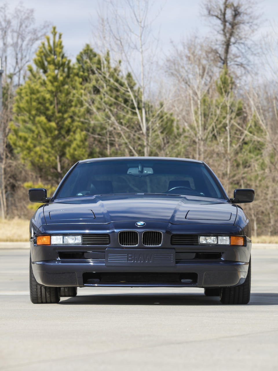 <b>1994 BMW 850CSi</b><br />VIN. WBSEG932XRCD00140
