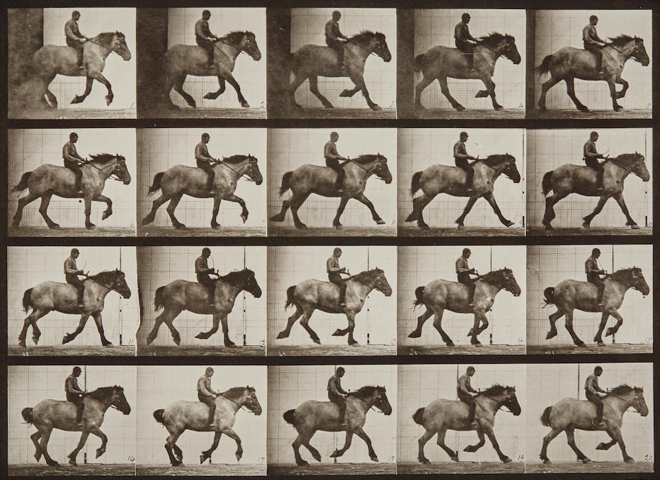 Eadweard Muybridge (1830-1904); Selected images from "Animal Locomotion";