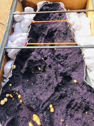 One of The Largest Amethyst Geodes in the World image 44