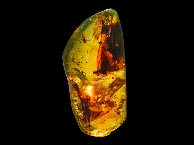 Rare Double Butterfly in Amber