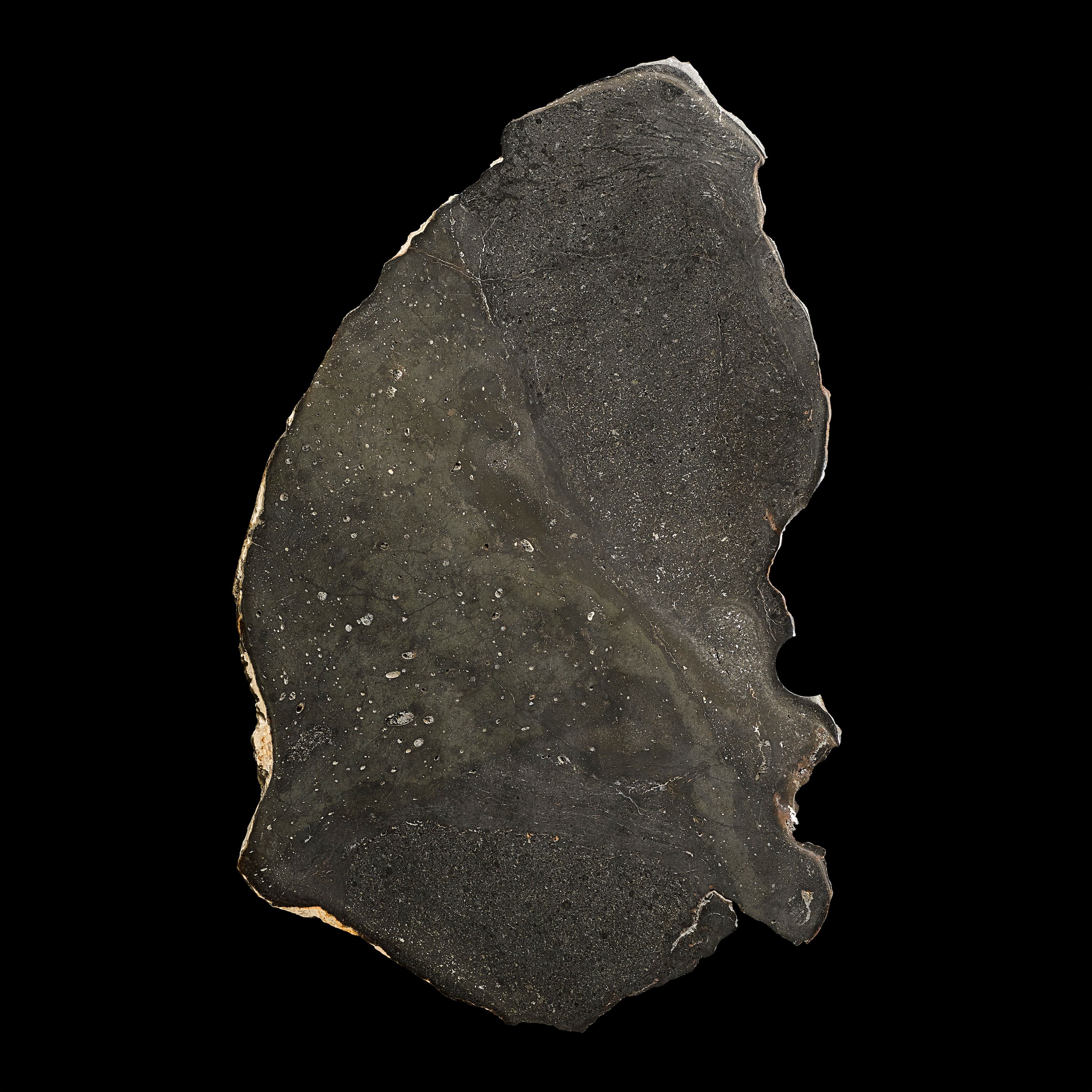 Chico Meteorite – Complete Slice