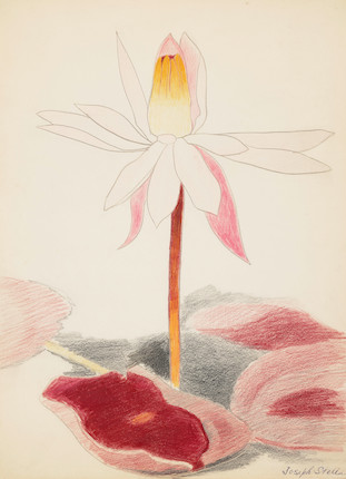 Joseph Stella (1877-1946) Water Lily Blossom 12 3/8 x 9 in. (31.4 x 22.9 cm.) (Executed circa 1925.) image 1