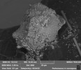Thumbnail of A unique opportunity to own a NASA-verified piece of the Apollo-11 contingency sample. 5 Scanning Electron Microscope (SEM) aluminum sample stubs, each topped with approximately 10 mm diameter carbon tape containing Apollo Moon dust, image 5