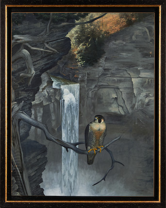 Robert Verity Clem (American, 1933-2010) Peregrine Falcon at Taughannock Falls 34 1/2 x 26 1/2 in. (87.0 x 67.5 cm) framed 38 3/4 x 30 3/4 in. image 6