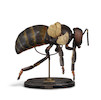 Thumbnail of A FRENCH POLYCHROME CARVED WOOD ANATOMICAL MODEL OF A HONEY BEE Émile Deyrolle (1838-1917), late 19th century, on ebonized wood stand with paper labelheight 17 1/2in (44.4cm) image 2