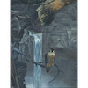 Thumbnail of Robert Verity Clem (American, 1933-2010) Peregrine Falcon at Taughannock Falls 34 1/2 x 26 1/2 in. (87.0 x 67.5 cm) framed 38 3/4 x 30 3/4 in. image 1