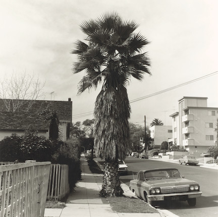 Edward Ruscha (born 1937); Palm Tree 1; image 1