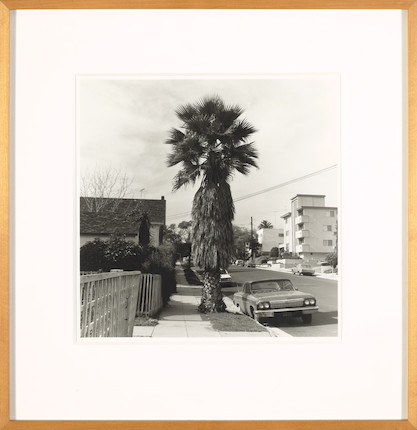Edward Ruscha (born 1937); Palm Tree 1; image 2