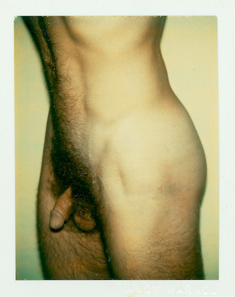 Andy Warhol (1928-1987); Sans titre (nu masculin); image 1