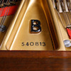 Thumbnail of A LIMITED EDITION STEINWAY & SONS GRAND PIANOSteinway & Sons, New York image 3
