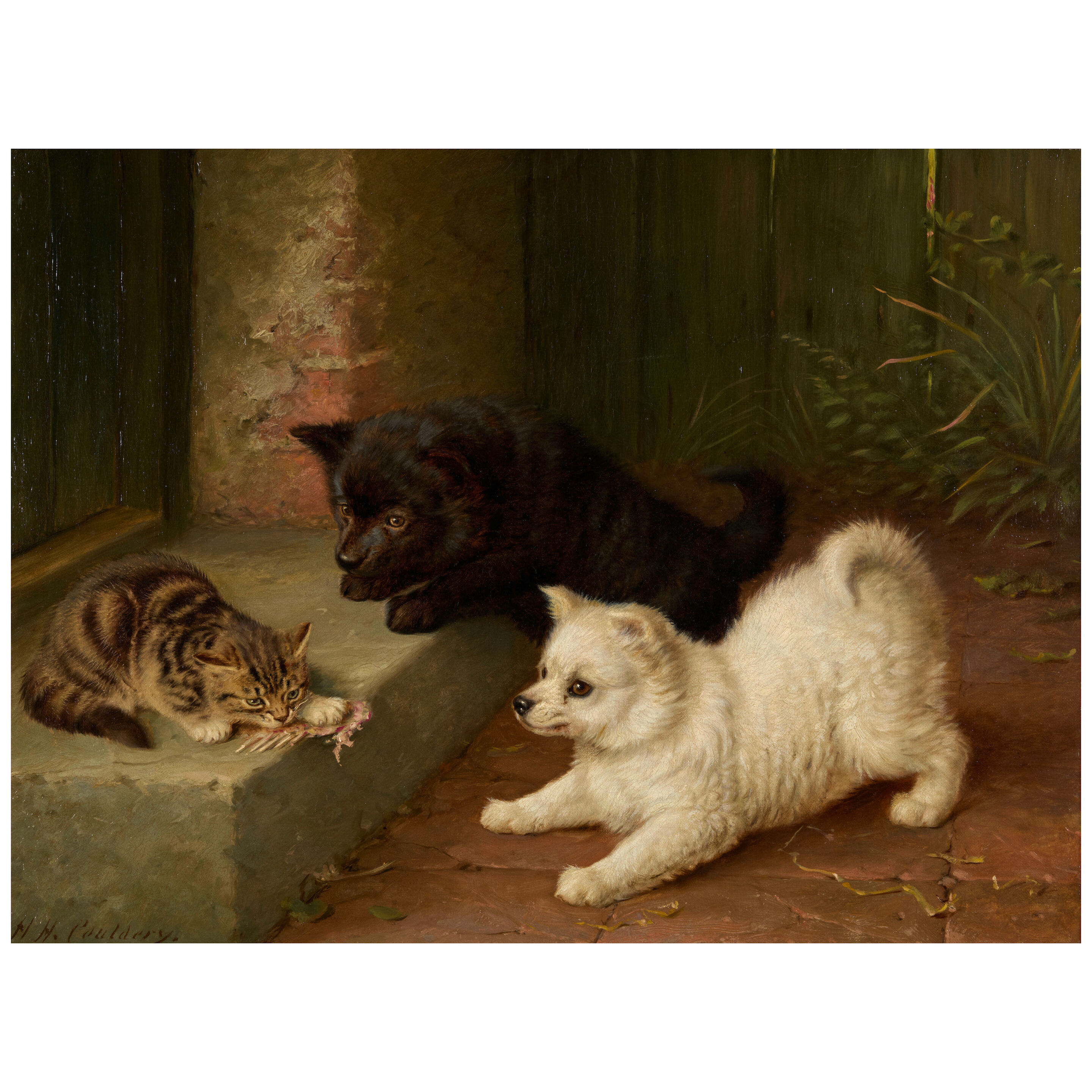 Two Dogs and a Cat