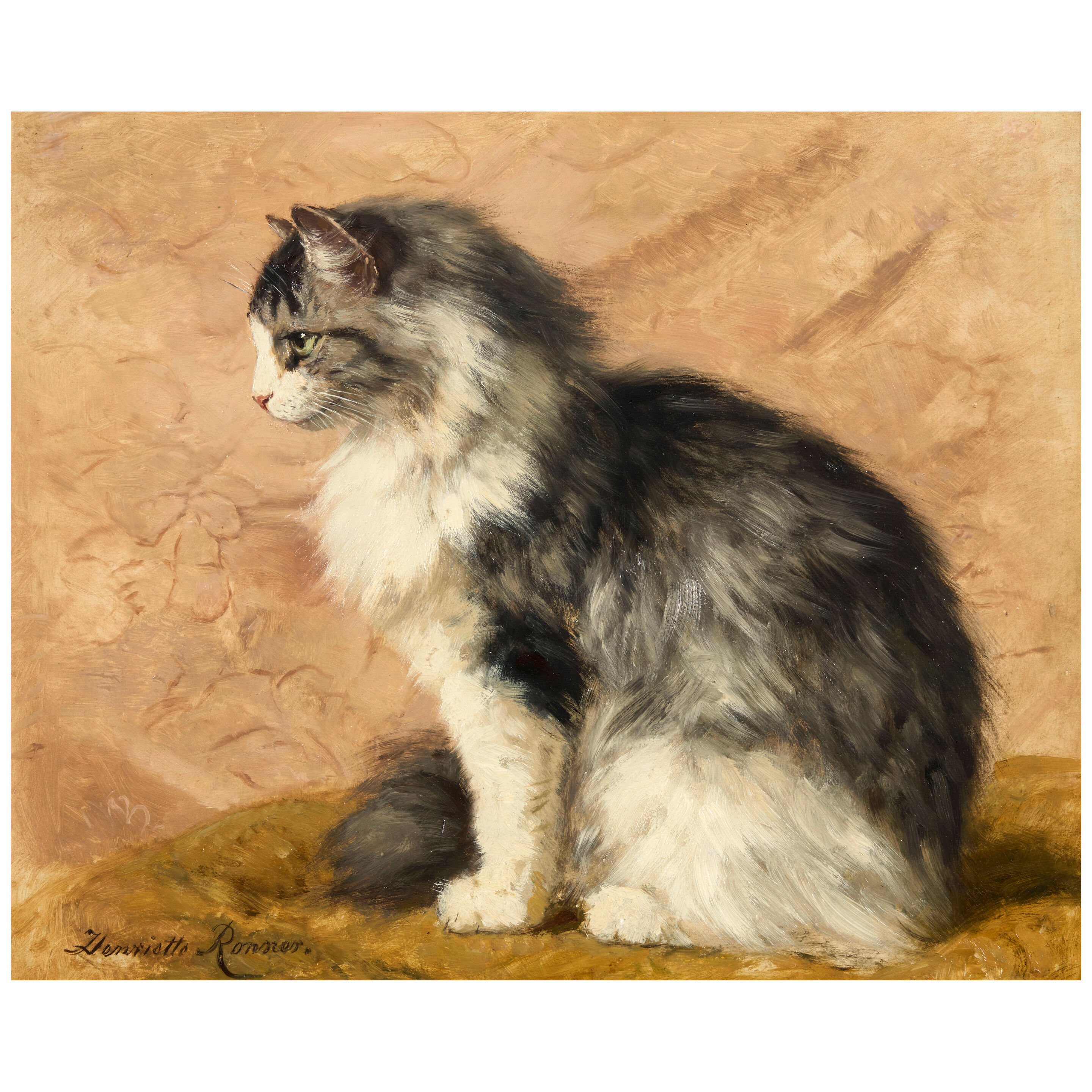Portrait of a Cat