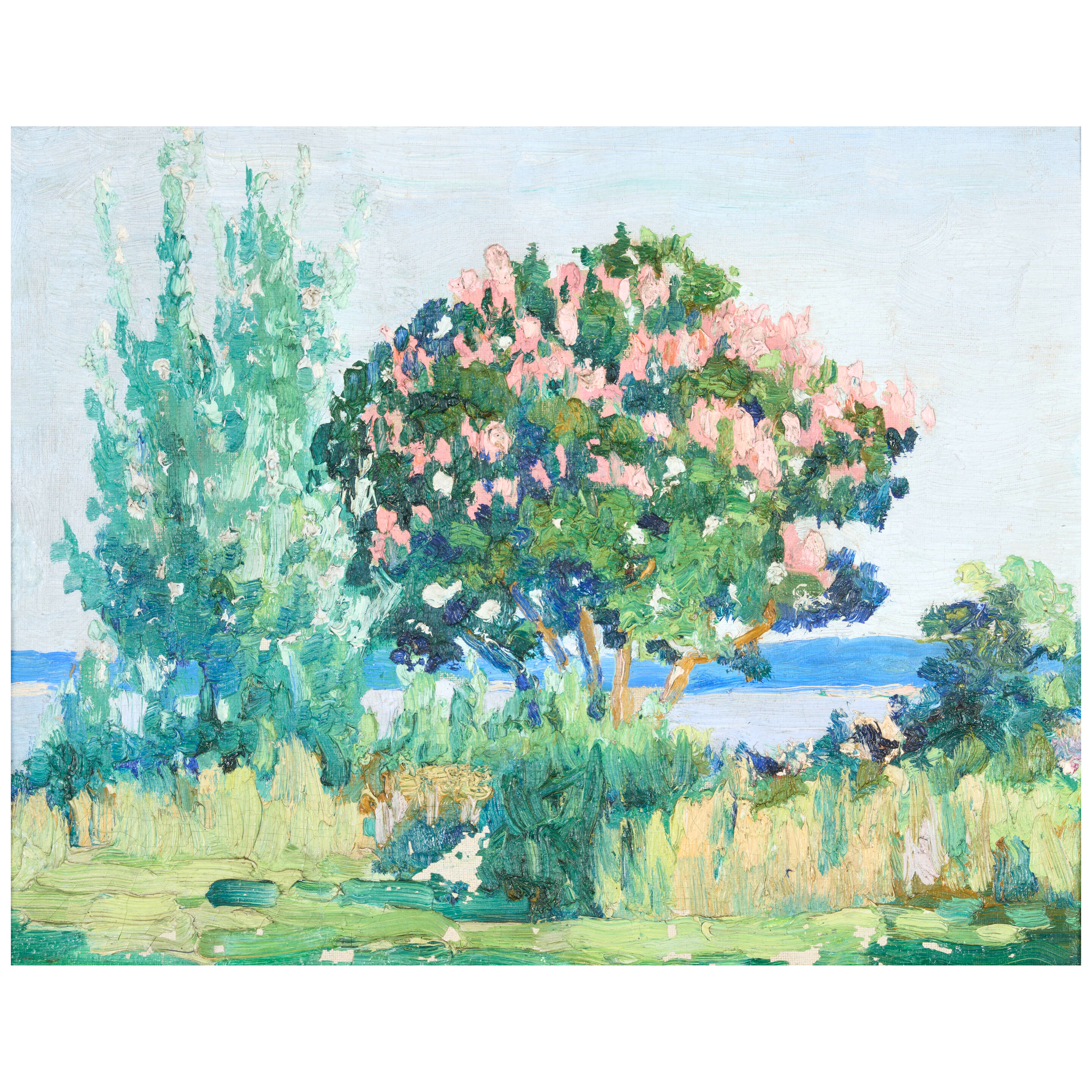 Crepe Myrtle at Camp Duffie 13 3/4 x 17 5/8 in. (34.9 x 44.8 cm.)