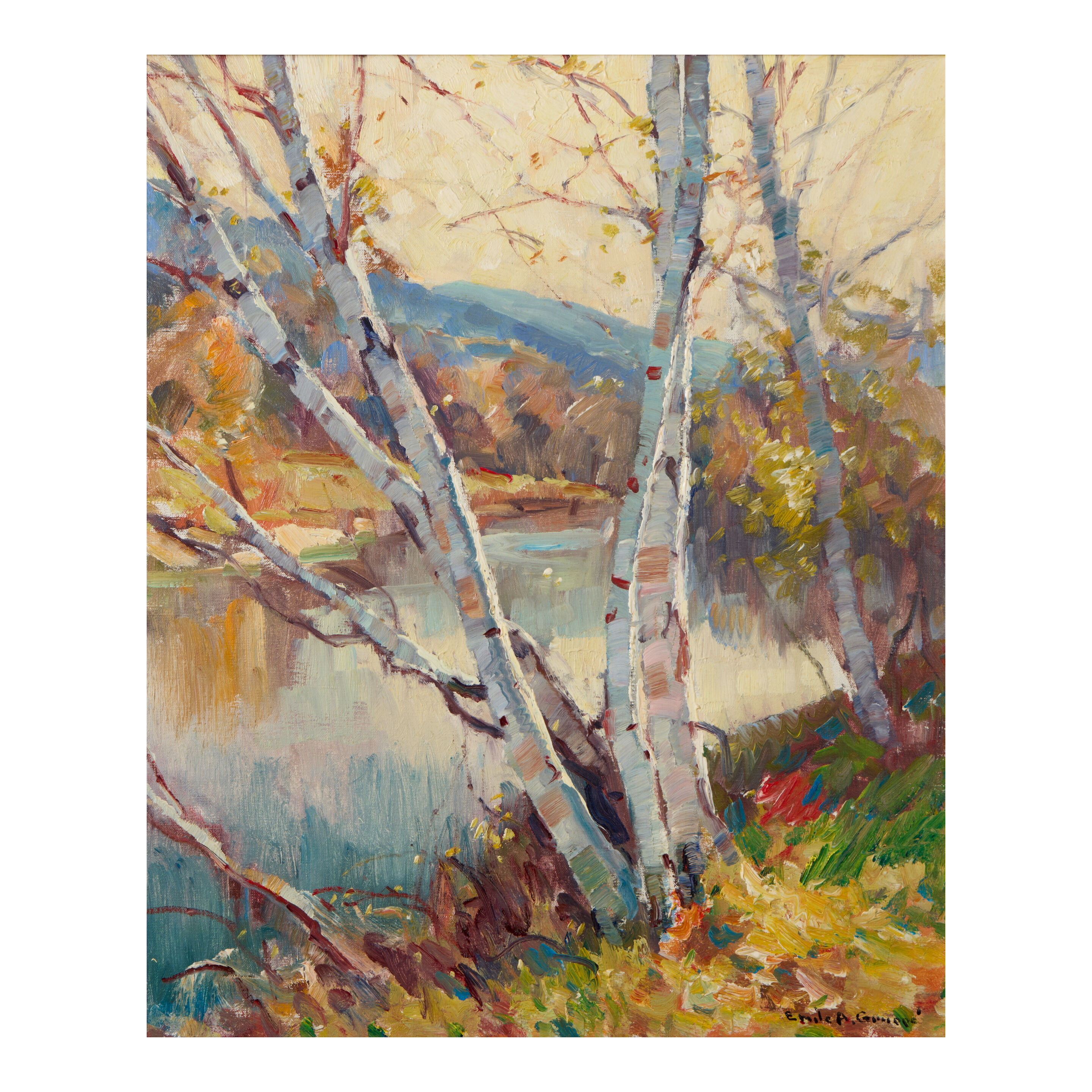 Vermont Birches 23 3/4 x 20 in. (60.3 x 50.8 cm.)