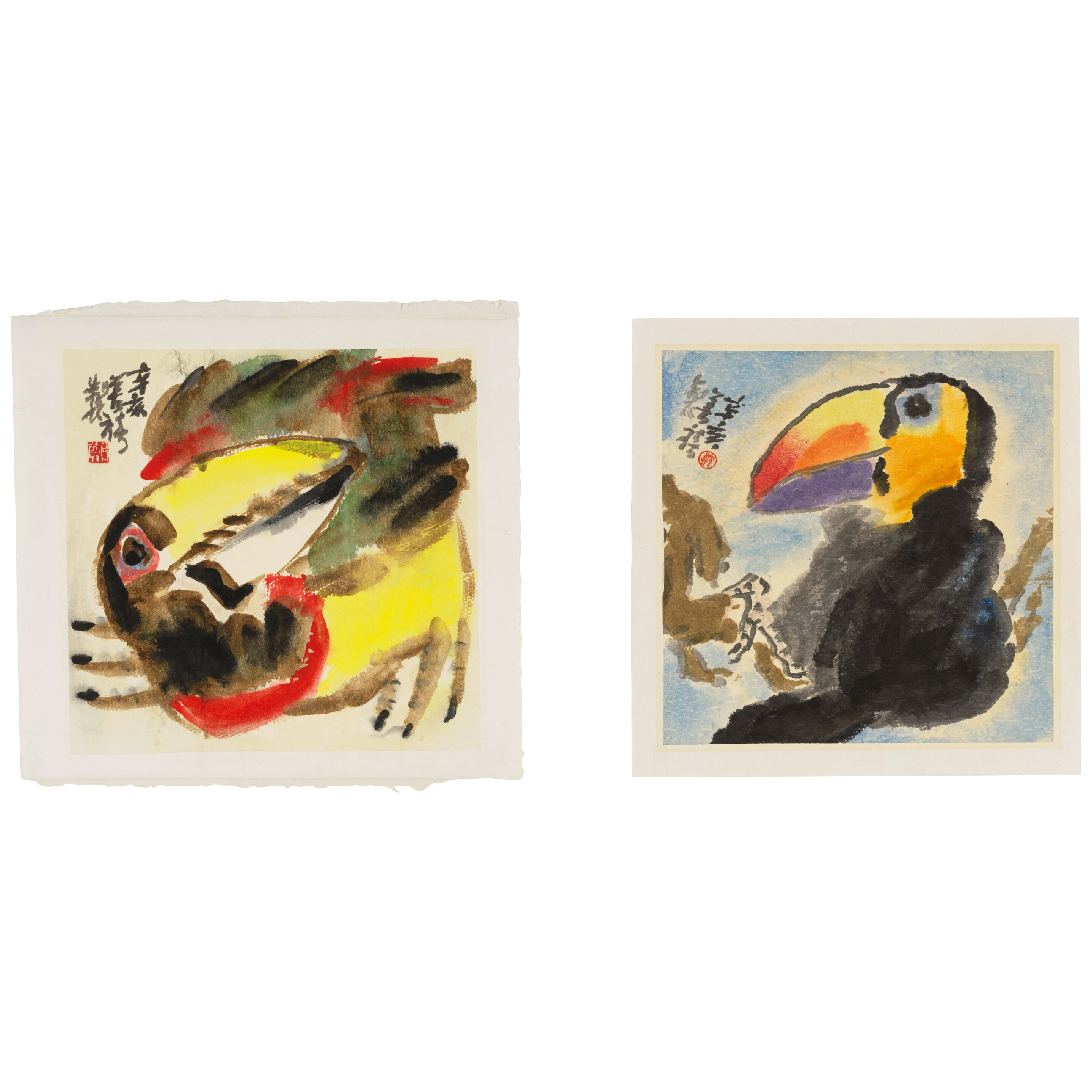 Toucans, 1971