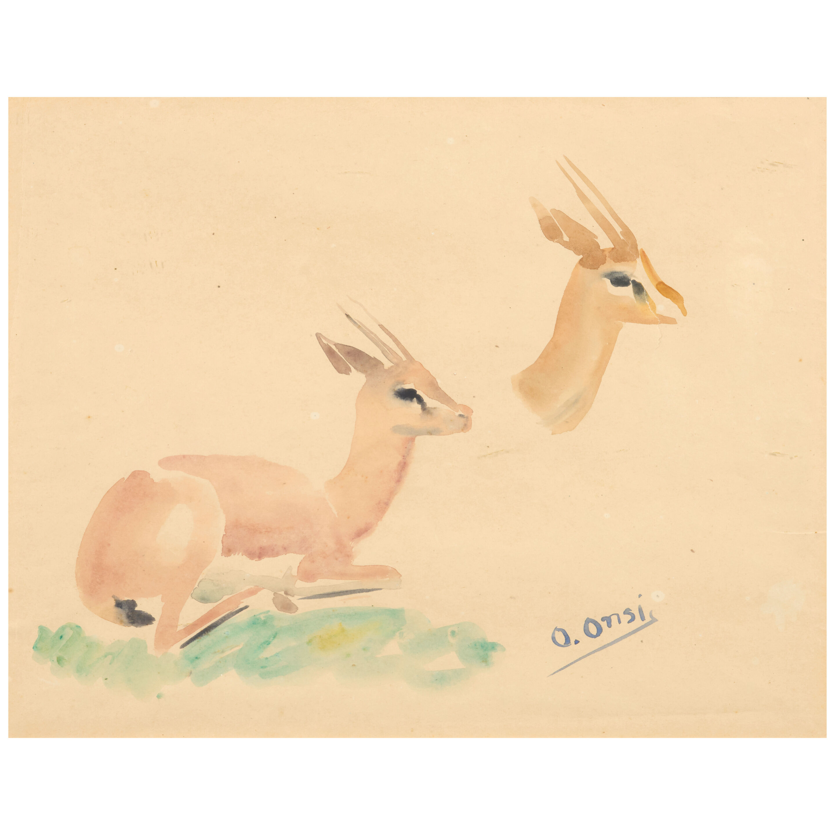 Gazelles: A Double-sided Study ,